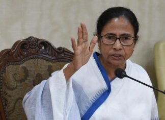 বিজেপি বাংলায় ঘোড়ার পাল পাঠিয়েছে, তাদের দেখলে দু:শাসন আত্মহত্যা করত: মমতা বন্দ্যোপাধ্যায় mamata