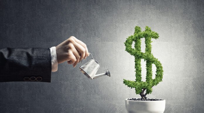 10 মাসে দ্রুত রিটার্ন, 1 লাখ টাকা থেকে 66 লাখ টাকা