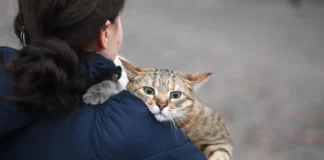 ভারতীয়রা নিজের পোষ্যকে উদ্ধার না করে নিজেদের উদ্ধার করেনা ukraine india