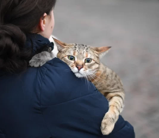 ভারতীয়রা নিজের পোষ্যকে উদ্ধার না করে নিজেদের উদ্ধার করেনা ukraine india