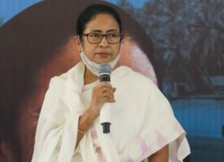 মমতা বন্দ্যোপাধ্যায়ও মেনে নিলেন, বিজেপির বিকল্প নেই, বললেন- সে কারণেই কেন্দ্র ক্ষমতায়
