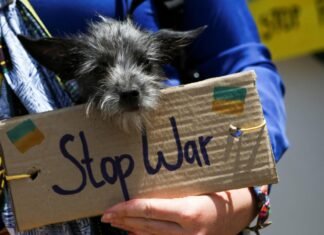 ইউক্রেন থেকে কুকুর নিয়ে ভারতে ফিরেছে এক ভারতীয়! ukraine dog final