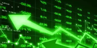 13 টাকার এই আশ্চর্যজনক শেয়ার, 2 বছরের মধ্যে বিনিয়োগকারীদের 30 গুণ বেশি রিটার্ন দিয়েছে