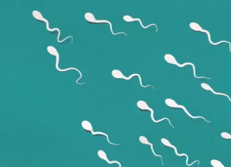 কম স্পার্ম কাউন্ট পরীক্ষা ছাড়াই কিভাবে বুঝবেন?