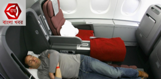 ফ্লাইটের সময় 66% ভারতীয় পাইলট বিমানে ঘুমিয়ে পড়েন! কেন এমন পরিসংখ্যান?